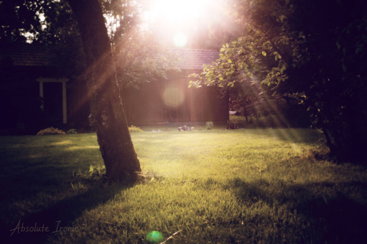 Lens flare trees