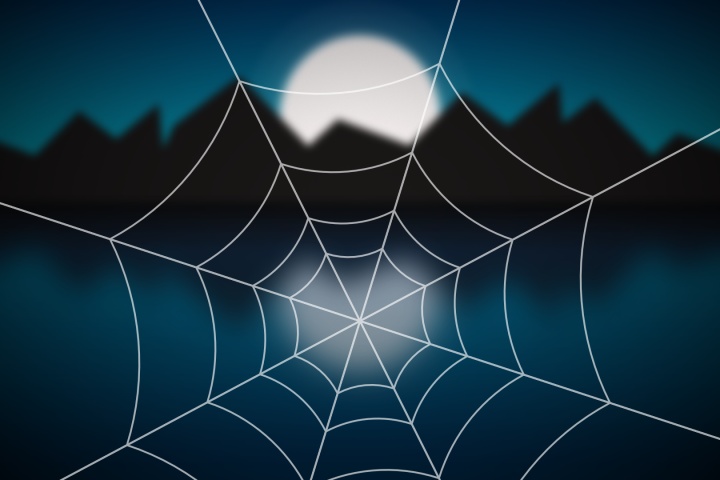 Graphic illustration of spider web