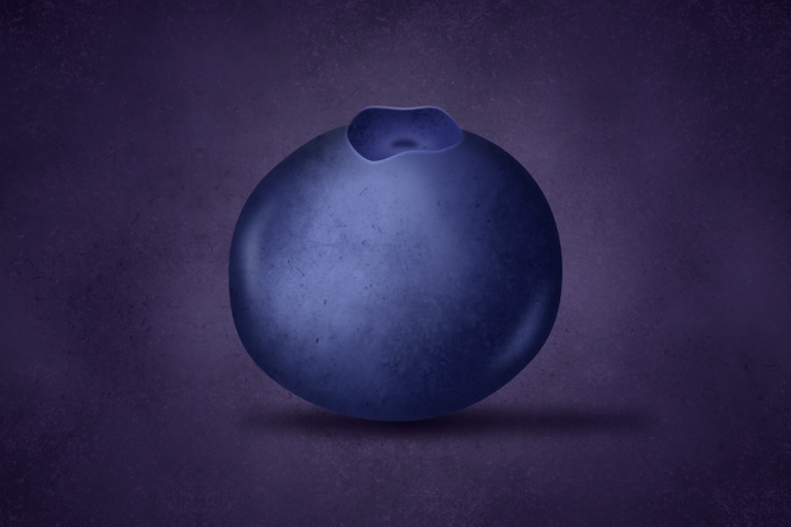 Graphic illustration of a blueberry